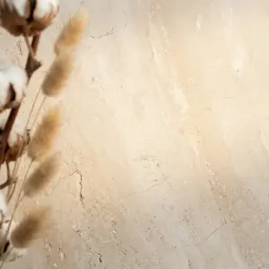 Dried Cotton and Bunny Tail Grass on Beige Stone Background