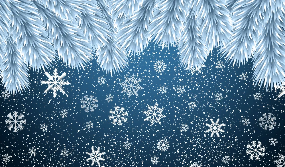 Winter Scene with Snowflakes and Frosted Pine Branches
