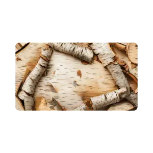 Birch Bark Layers Close-Up Texture
