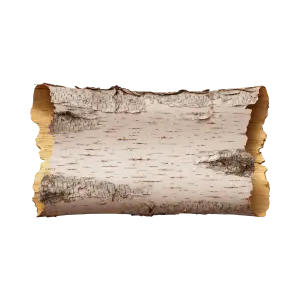 Birch Tree Bark Log Piece with Textured Outer Edges