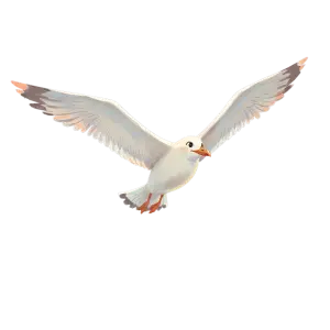 Cute Cartoon Seagull in Flight