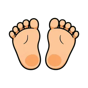 Cartoon Illustration of Pair of Bare Feet with Toes