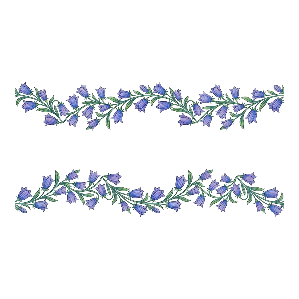 Bluebell Flower Border Garland PNG