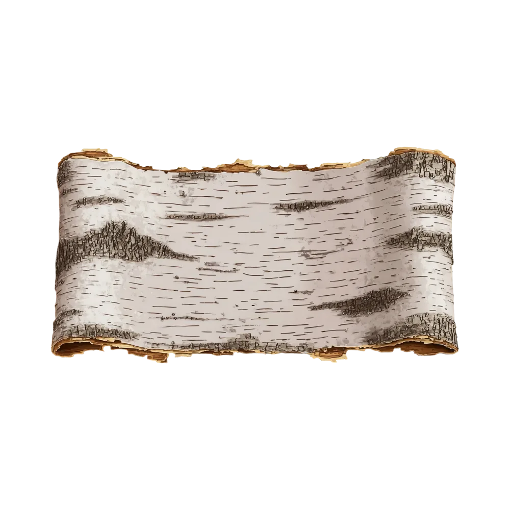 Curled Birch Tree Bark Texture