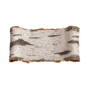 Curled Birch Tree Bark Texture
