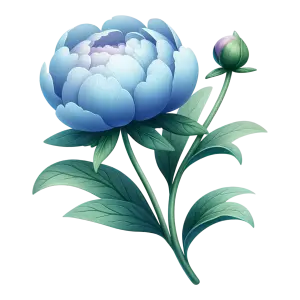 Blue Peony Flower with Green Leaves and Bud