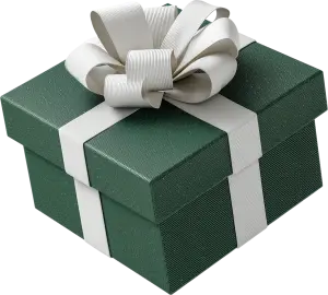 Dark Green Gift Box with White Ribbon Bow