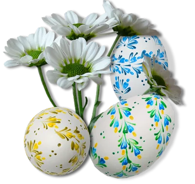 Decorated Easter Eggs with White Daisies