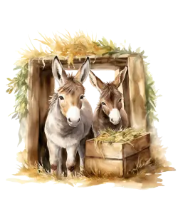 Two Donkeys at a Rustic Stable Entrance