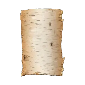 Old Torn Parchment Paper Texture