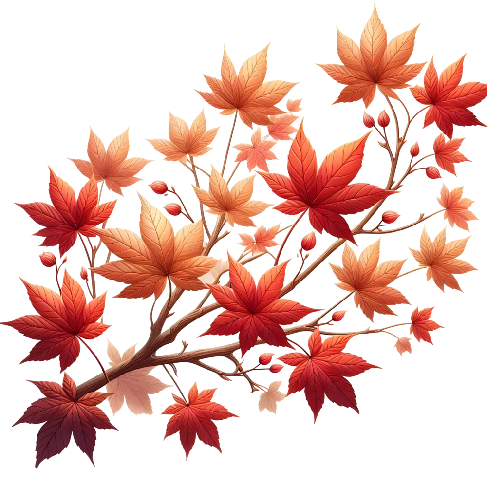 Autumn Maple Leaves Branch PNG