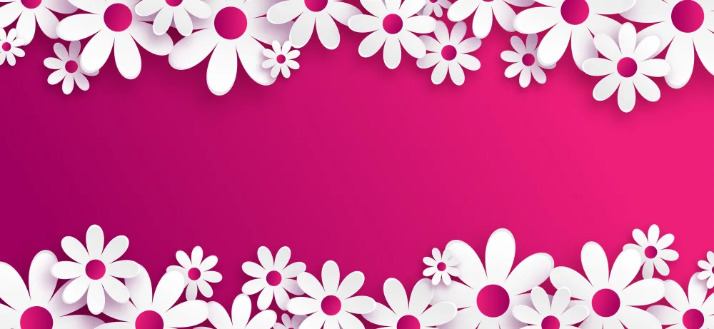 White Paper Daisy Flowers Border on Pink Background