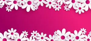 White Paper Daisy Flowers Border on Pink Background
