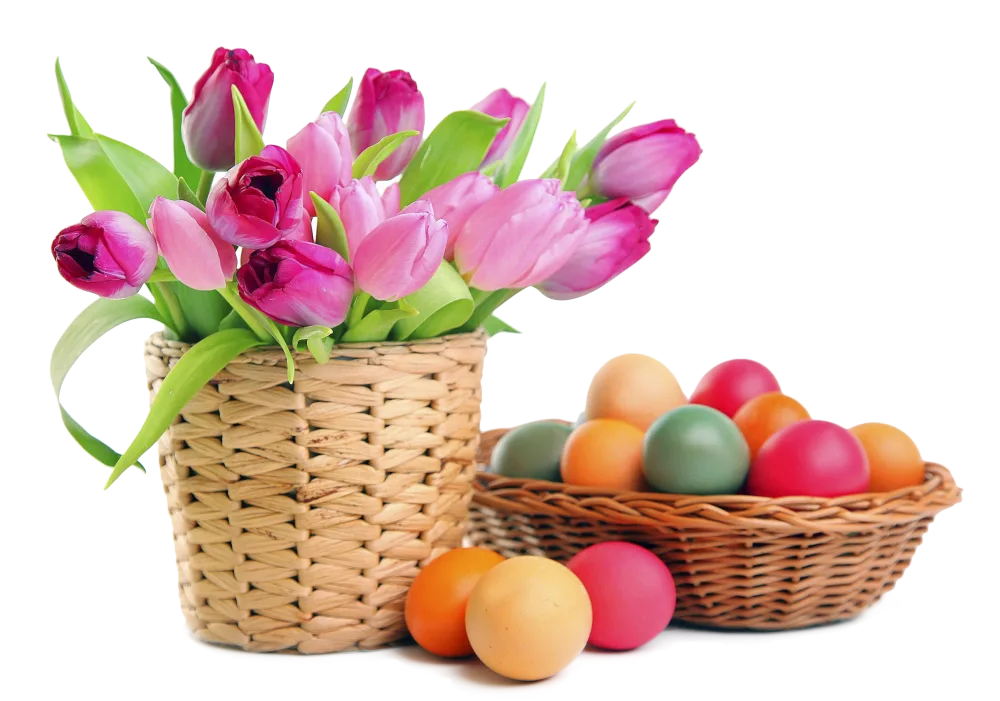 Pink Tulips in Basket with Colorful Easter Eggs