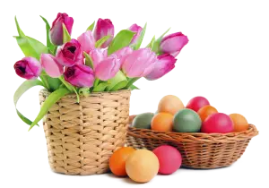 Pink Tulips in Basket with Colorful Easter Eggs