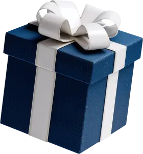 Navy Blue Gift Box with White Ribbon and Bow