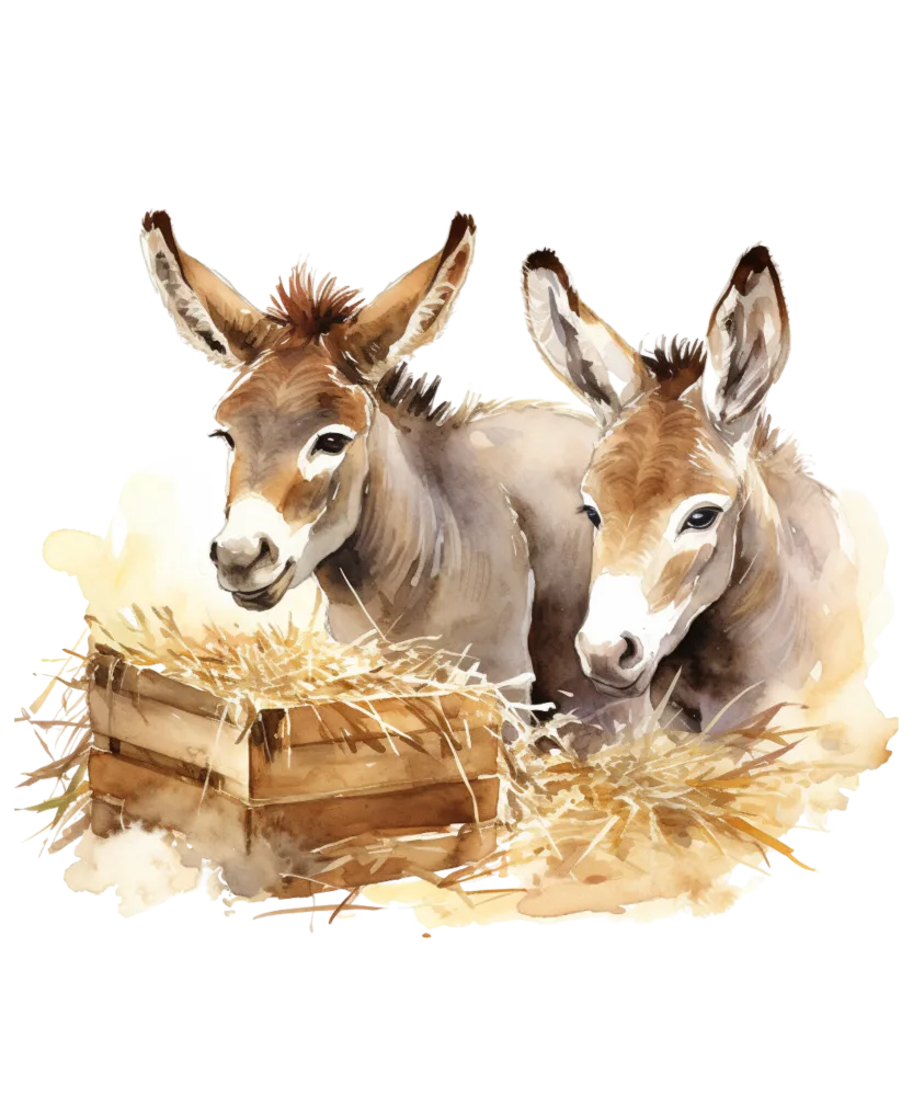 Watercolor Illustration of Two Donkeys near Hay Crate
