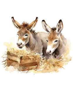 Watercolor Illustration of Two Donkeys near Hay Crate