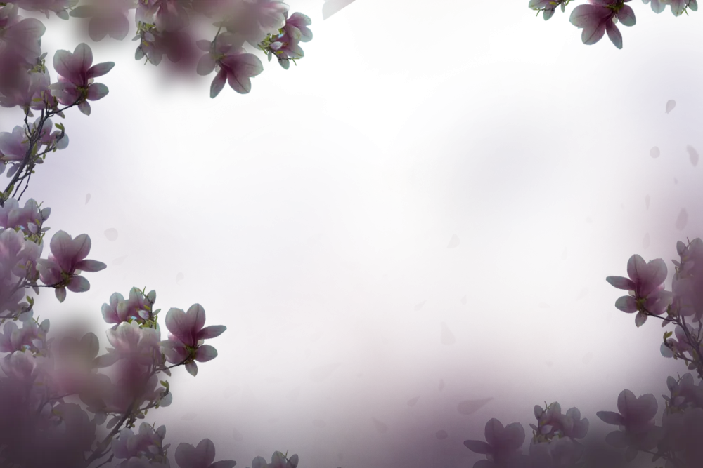 Purple Floral Background with Magnolia Flowers