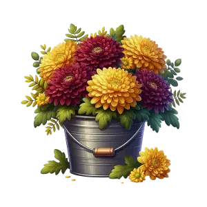 Colorful Chrysanthemums in Silver Bucket