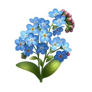 Blue Forget-Me-Not Flower Branch with Pink Buds