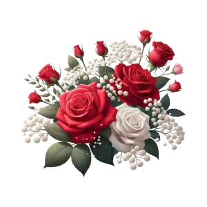 Red and White Rose Bouquet with Baby's Breath Flowers