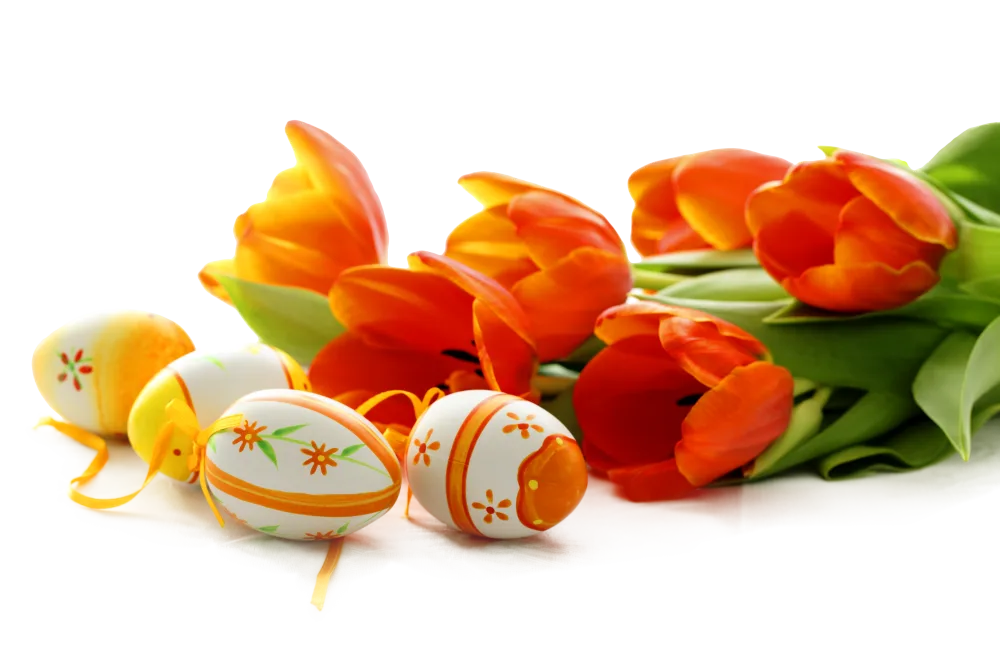 Orange Tulips with Painted Easter Eggs