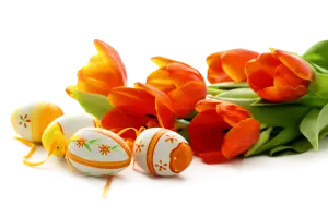 Orange Tulips with Painted Easter Eggs