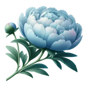 Blue Peony Flower Illustration with Bud and Leaves