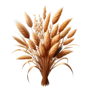 Bunch of Dried Wheat Stalks