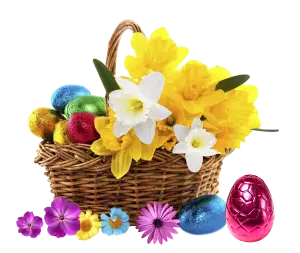 Easter Basket with Daffodils, Flowers, and Colorful Foil Wrapped Eggs