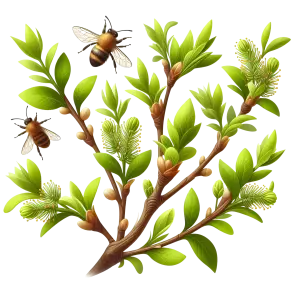 Bee Pollinating Branch with Green Leaves and Buds