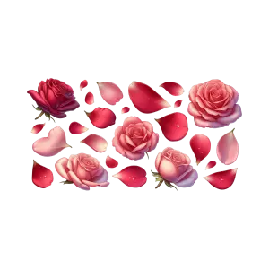Collection of Red and Pink Rose Flowers and Petals