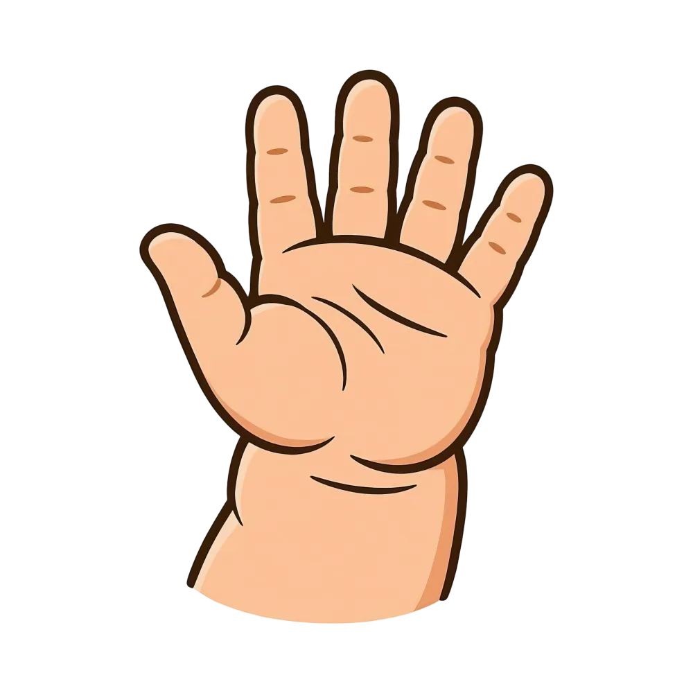 Illustration of an Open Baby Hand