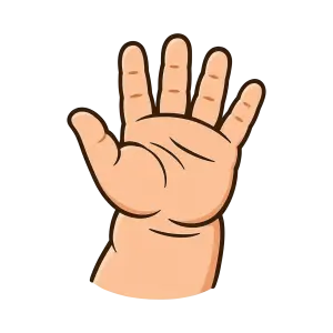 Illustration of an Open Baby Hand