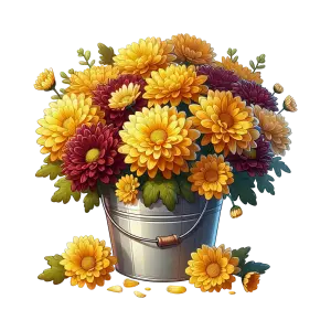 Colorful Chrysanthemum Flowers in Metal Bucket