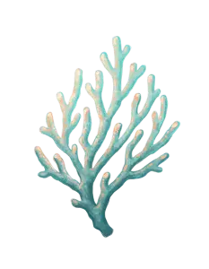 Blue Coral Branch Illustration